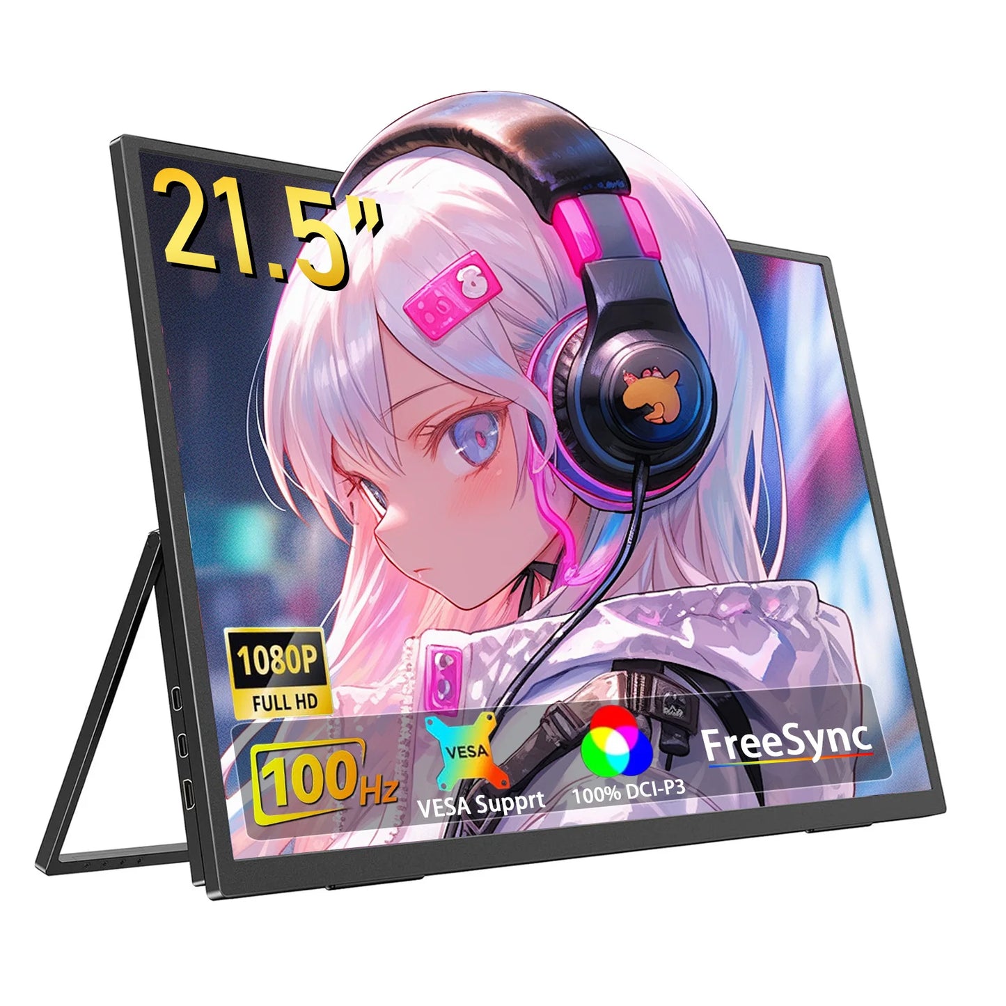 24" Portable Monitor