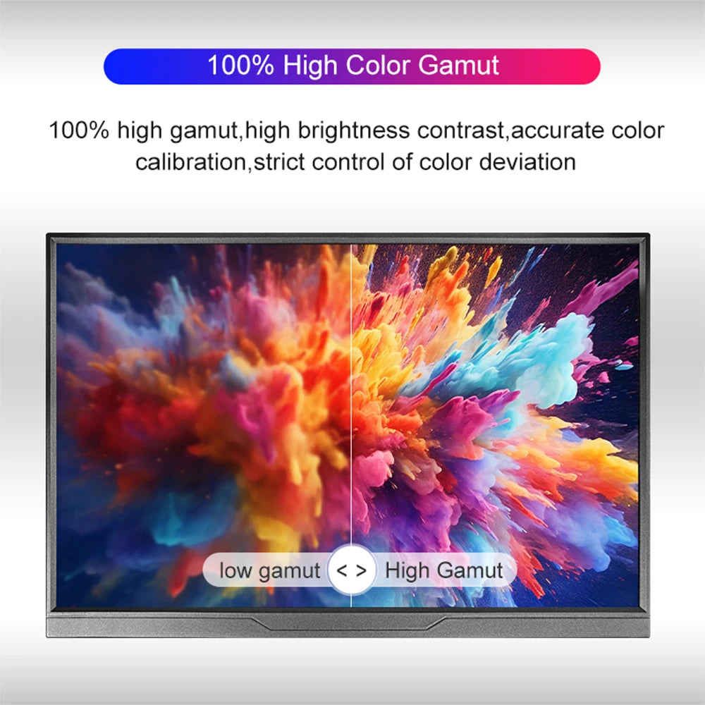 14" Portable Monitor